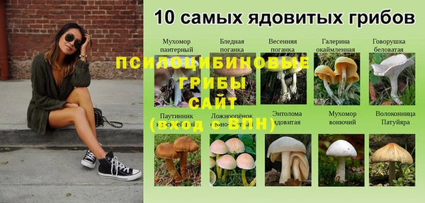 альфа пвп Верея