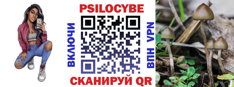 сколько стоит  Батайск  mega tor  Галлюциногенные грибы Psilocybine cubensis 